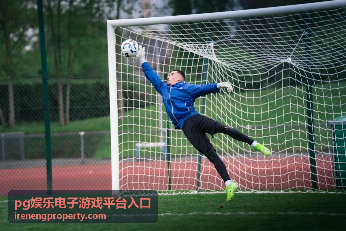 pg娱乐电子游戏平台入口浏览顺序讲解封面
